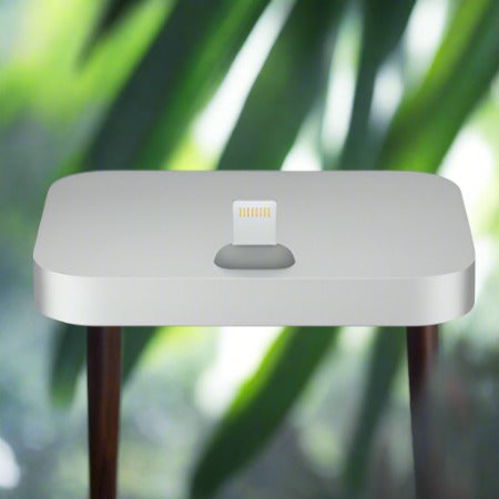 Apple iPhone Lightning Dock B015KSARTU - Gris sidéral